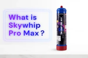 What is Skywhip Pro Max